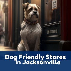 Dog Friendly Stores in Jacksonville