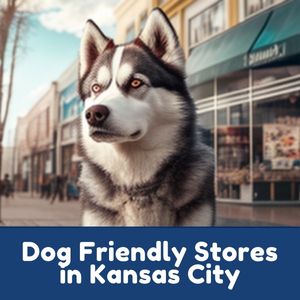 Dog Friendly Stores in Kansas City