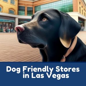 Dog Friendly Stores in Las Vegas