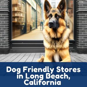 Dog Friendly Stores in Long Beach, California