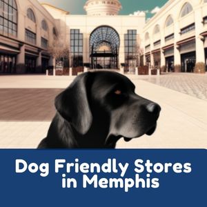 Dog Friendly Stores in Memphis