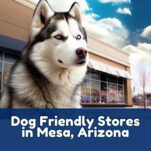 Dog Friendly Stores in Mesa, Arizona