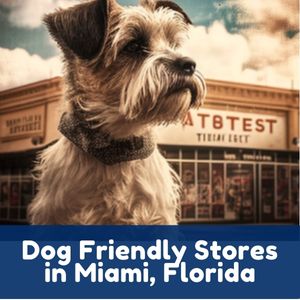 Dog Friendly Stores in Miami, Florida