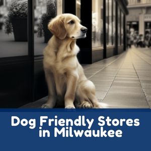 Dog Friendly Stores in Milwaukee