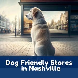 Dog Friendly Stores in Nashville