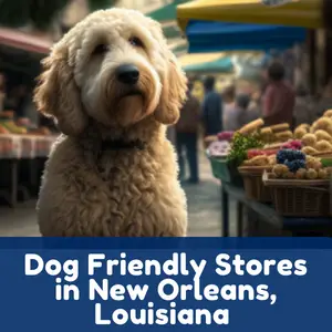 Dog Friendly Stores in New Orleans, Louisiana