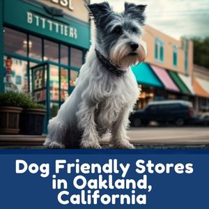 Dog Friendly Stores in Oakland, California
