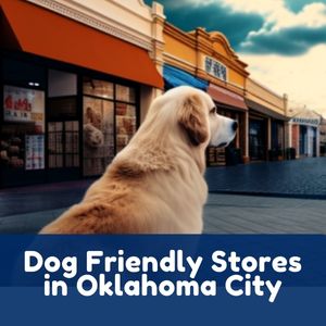 Dog Friendly Stores in Oklahoma City