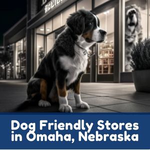 Dog Friendly Stores in Omaha, Nebraska