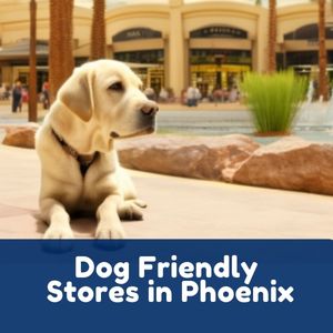 Dog Friendly Stores in Phoenix, Arizona