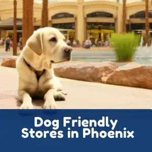 are dogs allowed in stores in arizona