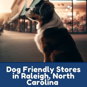 Dog Friendly Stores in Raleigh, North Carolina
