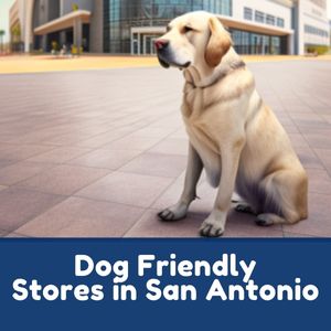Dog Friendly Stores in San Antonio
