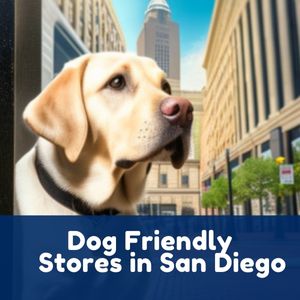 Dog Friendly Stores in San Diego