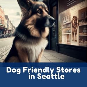 Dog Friendly Stores in Seattle