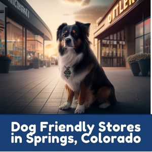 Dog Friendly Stores in Springs, Colorado