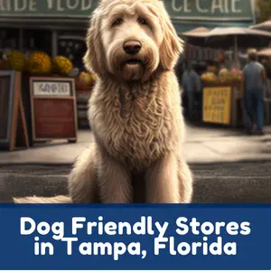 Dog Friendly Stores in Tampa, Florida