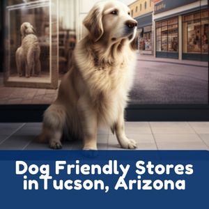 Dog Friendly Stores in Tucson