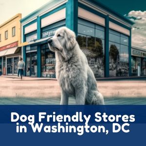 Dog Friendly Stores in Washington, DC