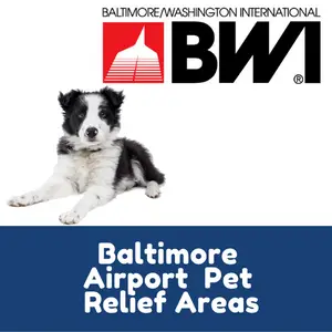 Baltimore Airport Pet Relief Areas