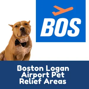 Boston Logan Airport Pet Relief Areas