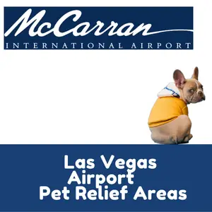 Las Vegas Airport Pet Relief Areas