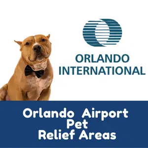 Orlando Airport Pet Relief Areas