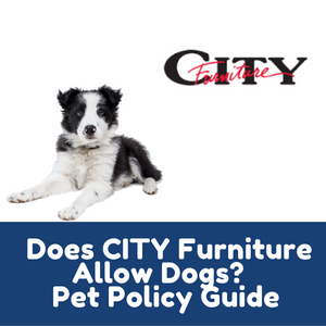 Does CITY Furniture Allow Dogs Inside