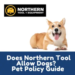 Does Northern Tool Allow Dogs Inside