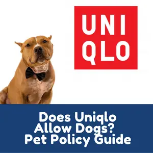 Does Uniqlo Allow Dogs