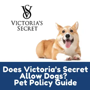 Does victoria's secret Allow Dogs
