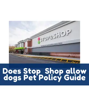 Does 7-Eleven allow dogs Pet Policy Guide