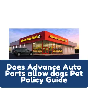 Does Advance Auto Parts allow dogs Pet Policy Guide