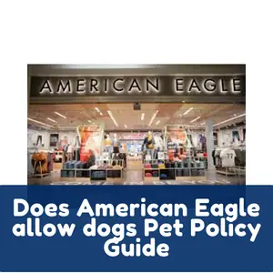 Does American Eagle allow dogs? Pet Policy Guide