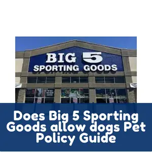 Does Big 5 Sporting Goods allow dogs Pet Policy Guide