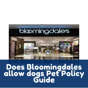 Does Bloomingdales allow dogs Pet Policy Guide