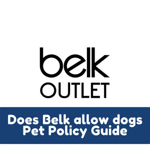 Does Boscovs allow dogs Pet Policy Guide