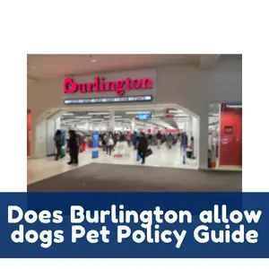 Does Burlington allow dogs Pet Policy Guide