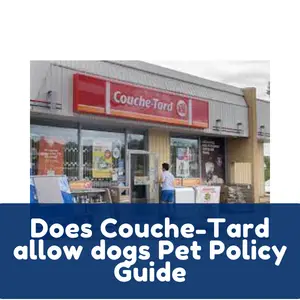 Does Couche-Tard allow dogs Pet Policy Guide