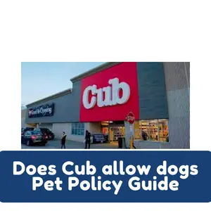 Does Cub allow dogs Pet Policy Guide