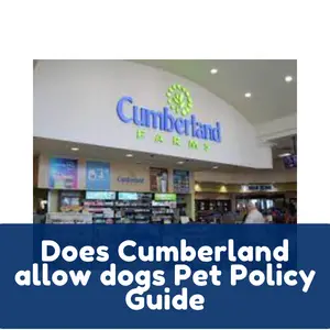 Does Cumberland allow dogs Pet Policy Guide
