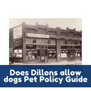 Does Dillons allow dogs Pet Policy Guide
