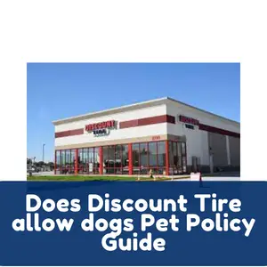Does Discount Tire allow dogs Pet Policy Guide
