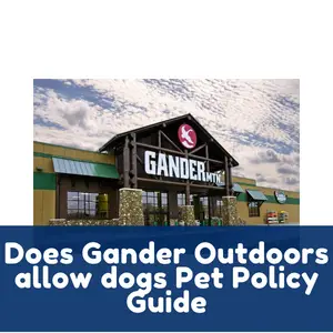 Does Gander Outdoors allow dogs Pet Policy Guide