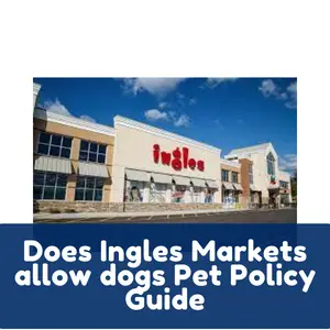 Does Ingles Markets allow dogs Pet Policy Guide