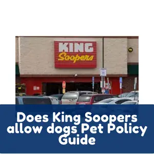 Does King Soopers allow dogs Pet Policy Guide