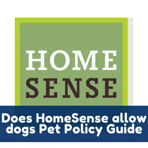 Does National Stores allow dogs Pet Policy Guide