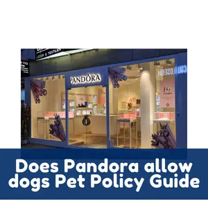 Does Pandora allow dogs Pet Policy Guide