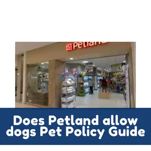 Does Petland allow dogs Pet Policy Guide