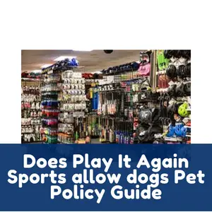 Does Play It Again Sports allow dogs Pet Policy Guide